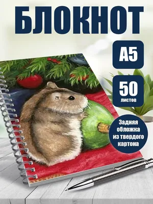 Тетрадь в клетку арт Милые хомячки - купить с доставкой по выгодным ценам в  интернет-магазине OZON (1101105933)
