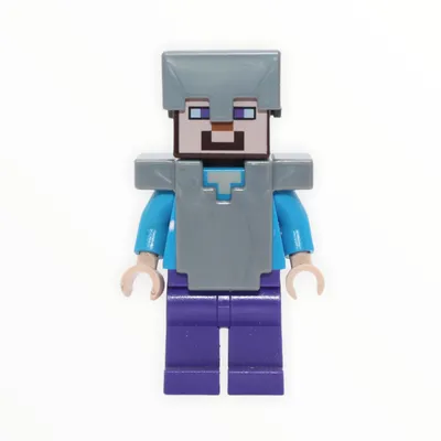 Minecraft Steve | SRB2 Message Board