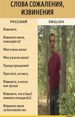 Как сказать на Английский (американский вариант)? \"Как будет: Мне очень жаль,что  так вышло?\" | HiNative