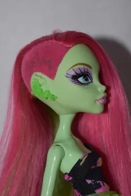 Венера макфлайтрап базовая monster high venus mcflytrap монстр хай монстер,  цена 250 грн - купить Кукольный мир бу - Клумба