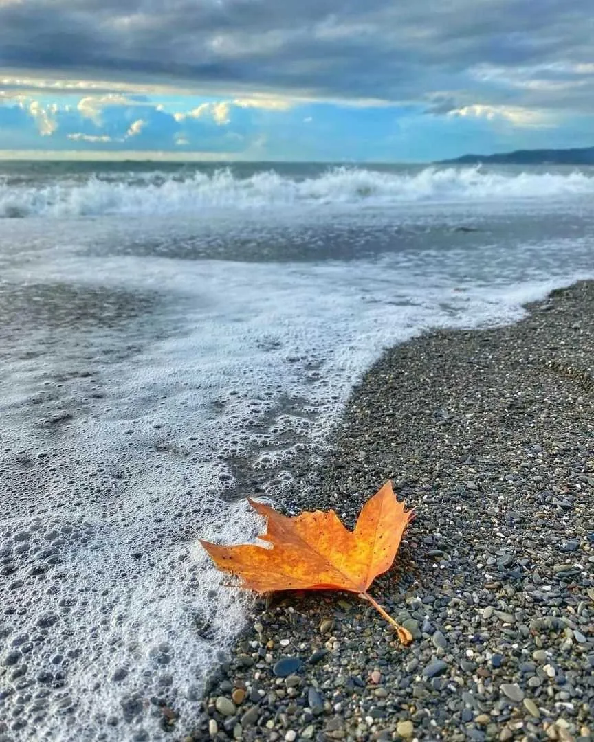 Картинки Утро Осень Море