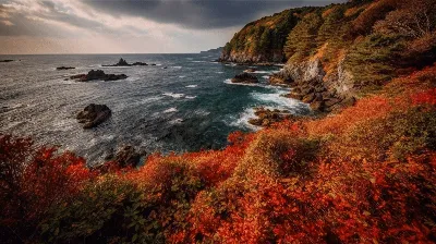 Краски поздней осени (Кранц, Балтийское море).