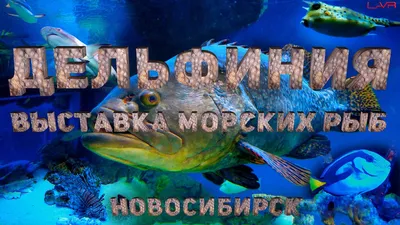 Набор морских рыб и животных Marine Ocean Sea Fish Animals (ID#1317868315),  цена: 770 ₴, купить на Prom.ua