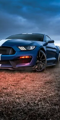 Закрытый сайт | Cool car wallpapers hd, Ford mustang wallpaper, Sports cars  mustang