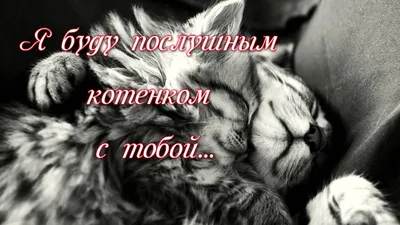 Что подарить мужу на 14 февраля — идеи для подарка любимому супругу на День  всех влюбленных (святого Валентина)