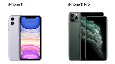 How Waterproof Is the iPhone 11, and What to Do if It Gets Wet - The Plug -  HelloTech