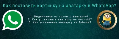 Как сделать свой аватар в Ватсапе и стикеры со своим лицом | AppleInsider.ru