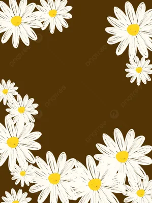 ромашки | Daisy wallpaper, Scenery wallpaper, Landscape wallpaper