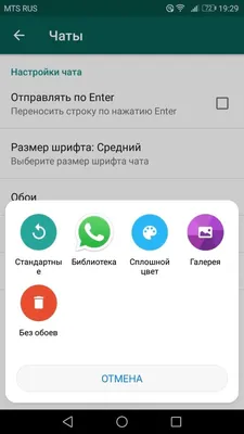 Как в Ватсапе изменить фон в конкретном чате - AndroidInsider.ru