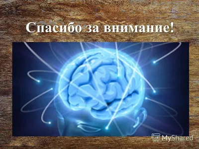 Картинки \"Спасибо за внимание\" для презентации - 553 классных идеи