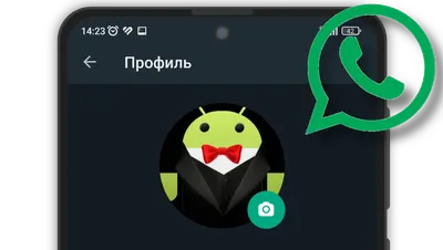 В WhatsApp можно будет создать подменный профиль — Ferra.ru