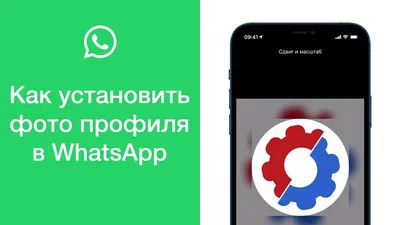 Заказы принимаю в WhatsApp, активная ссылка в шапке профиля или по номеру  89645034000. Прошу в Директ не писать, так как не всегда… | Instagram