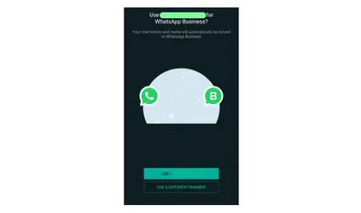 WhatsApp Business: что это и как настроить | Wazzup