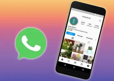 Бета-версия WhatsApp для Android 2.23.6.12: что нового?