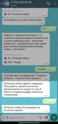 Бизнес-аккаунт WhatsApp: полная инструкция по использованию