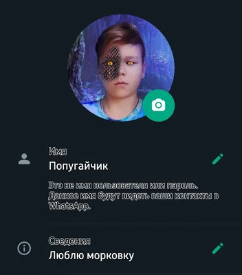 Seopulses - Как в шапке профиля инстаграм сделать ссылку на WhatsApp ?❓  Есть несколько способов добавления ссылки на WhatsApp в шапку профиля  инстаграм. Мы рассмотрим один из них - это размещение ссылки