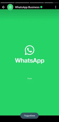 Pact - Переход на бизнес-аккаунт Whatsapp Business и перенос чатов