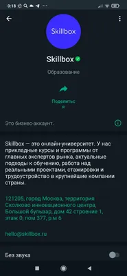 Как добавить кнопку WhatsApp в профиль Instagram