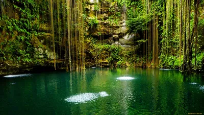 Обои SCENIC LAKE Природа Реки/Озера, обои для рабочего стола, фотографии  scenic, lake, природа, реки, озера, озеро, джунгли, скалы Обои для рабочего  стола, скачать обои картинки заставки на рабочий стол.