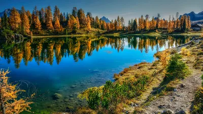 Картинки Италия Lake Federa Осень Природа Озеро Пейзаж 1366x768