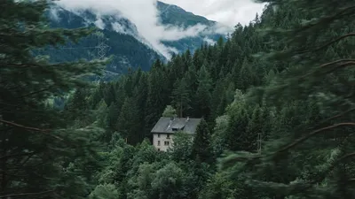 Обои дом, лес, горы, деревья, природа картинки на рабочий стол, фото  скачать бесплатно