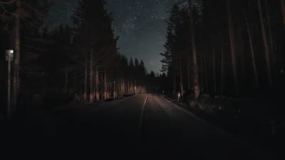 Обои дорога, лес, ночь, звездное небо, поворот картинки на рабочий стол,  фото скачать бесплатно