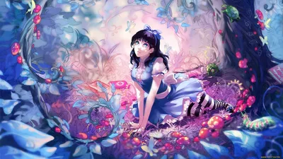 Обои Alice In Wonderland Аниме Alice in Wonderland, обои для рабочего стола,  фотографии alice in wonderland, аниме, девушка, взгляд, фон Обои для рабочего  стола, скачать обои картинки заставки на рабочий стол.