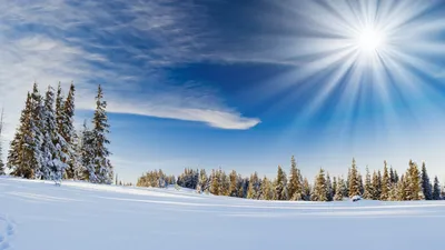 Картинка на рабочий стол места, дерево, ели, ель, вид, природа, пейзажи,  красивые фотографии, деревья, ёлка, ёлки, холмы, снег, зима,  широкоформатные обои для рабочего стола, зимние обои 1600 x 900