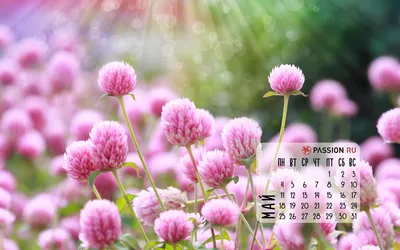 Обои-календарь на май 2023 — calendar12.ru