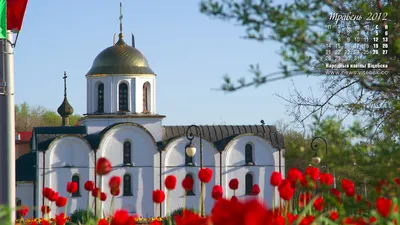 Обои Цветы Пионы, обои для рабочего стола, фотографии цветы, пионы,  розовый, весна, май Обои для рабочего стола, скачать обои картинки заставки  на рабочий стол.