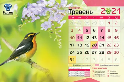 Май 2023. Календарь на рабочий стол - КонтурНорматив