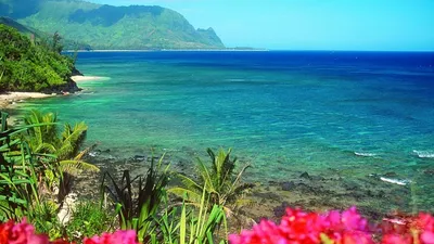 Обои на рабочий стол Hawaiian Islands / Гавайские острова, море, горы, на  переднем плане растительность и размытые цветы, обои для рабочего стола,  скачать обои, обои бесплатно