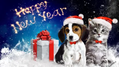 Красивые и прикольные картинки с Новым годом Собаки 2018 | Год Жёлтой  Земляной Собаки