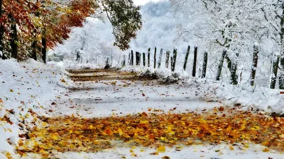 Картинки на рабочий стол осень зима