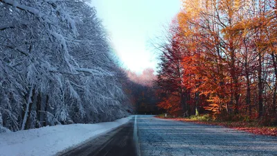 Картинка Зима Осень Природа Снег Дороги дерево 3840x2160