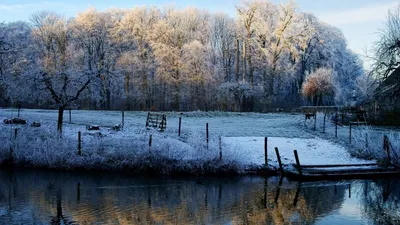 Обои утро, озеро, иней, заморозки, ноябрь, осень, ограждение картинки на рабочий  стол, фото скачать бесплатно