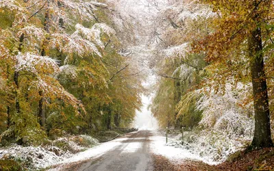 Осень зима - красивые фото