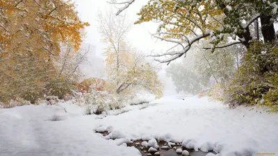 Изображение листья, девушки, зонт, снег, mugon, осень, зима, мост, Арт на рабочий  стол hd