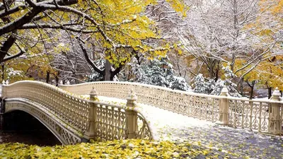Картинки снег, мост, поздняя осень - обои 1920x1080, картинка №64968