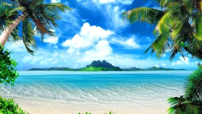 Mobile wallpaper: Landscape, Sea, Palms, Beach, 19373 download the picture  for free.