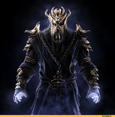 The Elder Scrolls V: Skyrim — Игрозабор