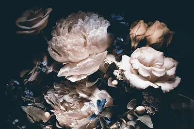 Виктор Кирсанов / Белые цветы на темном фоне.