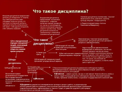 Рассуждения на тему дисциплины в школах. Или как я преподавала математику  египтянам | Trifler | Дзен