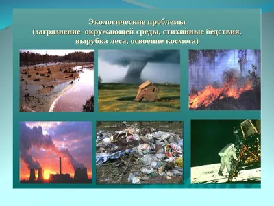 11 глобальных экологических проблем и пути их решения 2024-2025: какие  возникают и существуют, основные причины появления в современном мире