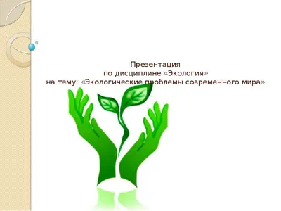 Коллективная проектная работа на тему \"Экологический калейдоскоп\"