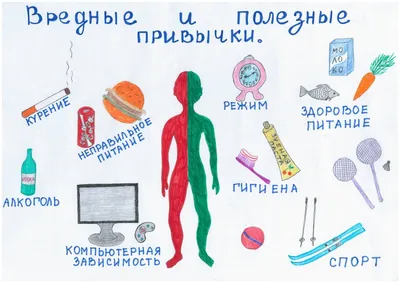 Здоровому образу жизни – Да! Нет – вредным привычкам! — Реальный Брест