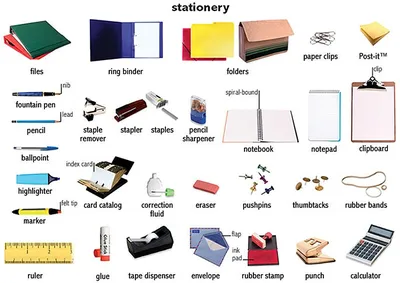 Вещи для школы: Происхождение названий школьных принадлежностей | В мире  вещей | Дзен