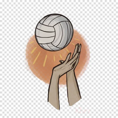 [71+] Картинки на тему волейбол обои