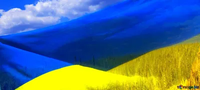 Дизайн футболок на украинскую тематику — Dprofile