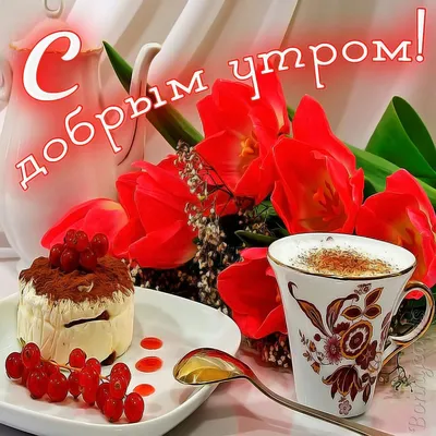 Доброе утро девочки 🤗🤗🤗🤗у нас новое поступление 🌸🌸🌸🌸🌸мы страемся  для вас💐💐💐💐💐всех ждём у нас Мы находимся по адресу ГУМ ЧЫНАР 2этаж  острово… | Instagram